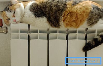 Aluminum radiators are safe and extremely difficult to burn. Aluminum radiators are safe and extremely difficult to burn.