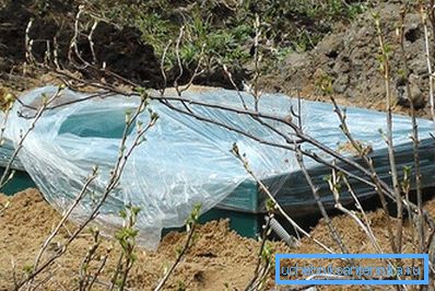 Autonomous sewage in the country Autonomous sewage in the country