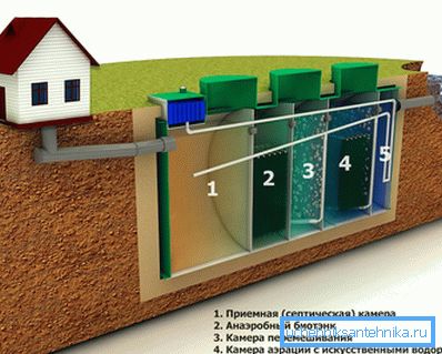 1144 The principle of operation of the biological station