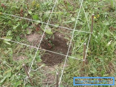 We outline the contours of the future structure with a string We outline the contours of the future structure with a string