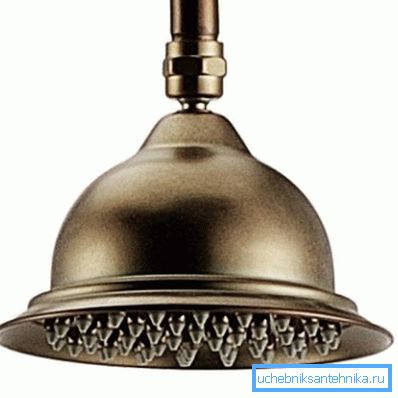 Bronze watering can. Bronze watering can.