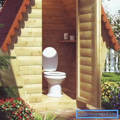 Country toilet with plastic toilet