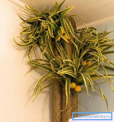 Vertical pipe decor. Vertical pipe decor.
