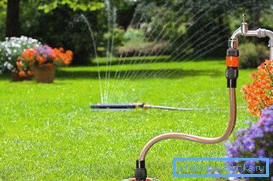 For automatic irrigation it is worthwhile to build a separate structure. For automatic irrigation it is worthwhile to build a separate structure.