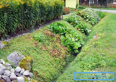 Drainage ditch Drainage ditch