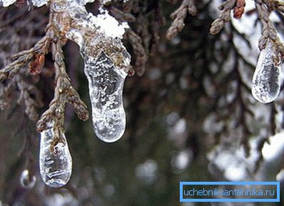 If the temperature at night drops below zero, turn off the heating early If the temperature at night drops below zero, turn off the heating early