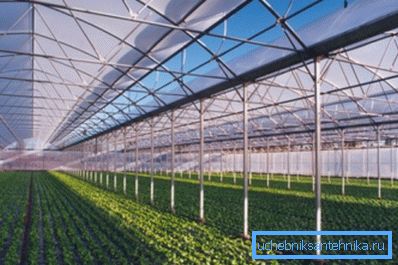 Farmers growing vegetables in greenhouses, approach the issue of heating in a completely different way.