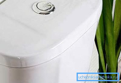 Faience in the toilet should be dry Faience in the toilet should be dry