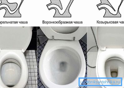 Toilet Bowl Shapes