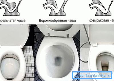 Toilet Bowl Shapes Toilet Bowl Shapes