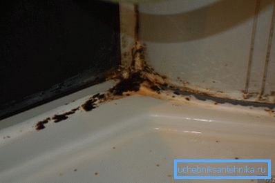 Photo of mold in the shower box Photo of mold in the shower box