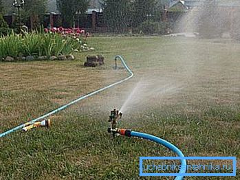 Photo watering the site. Photo watering the site.
