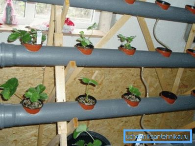 Hydroponic system of sewer pipes Hydroponic system of sewer pipes