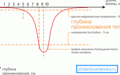 Depth of penetration of waves of different lengths into the human body