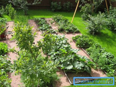 A good garden needs plenty of watering. A good garden needs plenty of watering.