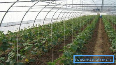 The heating system used is selected based on the area of ​​the agrotechnical structure.