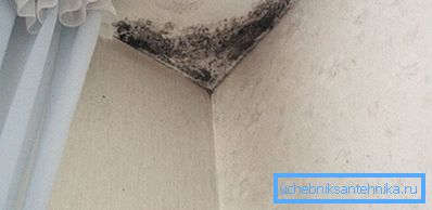 Due to poor ventilation mold starts Due to poor ventilation mold starts