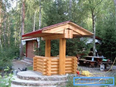 Well from a tree for a water supply system.