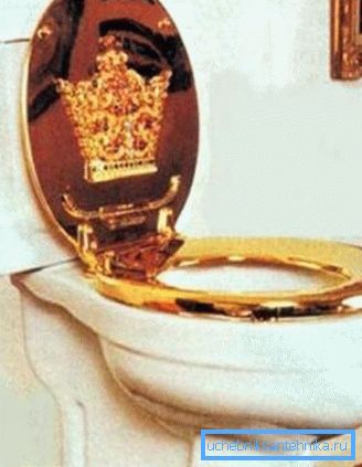 The lid on the toilet - an integral component of comfort when visiting the restroom The lid on the toilet - an integral component of comfort when visiting the restroom