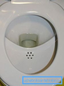 Amateur photo of the toilet with a unique internal arrangement
