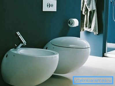 Designer Toilet and Bidet