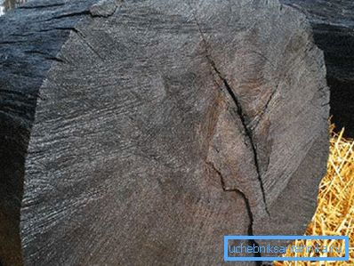 Bog oak.