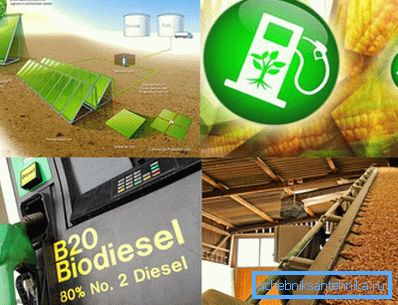 In the photo - biofuel can be produced from various organic raw materials. In the photo - biofuel can be produced from various organic raw materials.