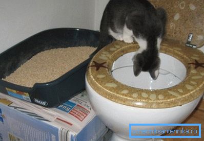 On the photo - tray, placed flush with the toilet