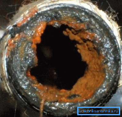 In the photo one of the results of negligent treatment of the sewer system In the photo one of the results of negligent treatment of the sewer system