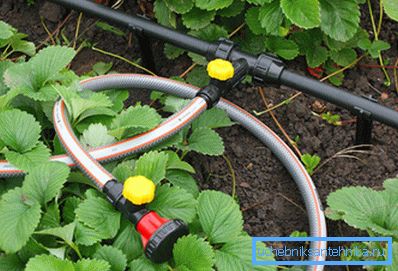 In the photo: pipes for summer plumbing must meet a variety of requirements. In the photo: pipes for summer plumbing must meet a variety of requirements.