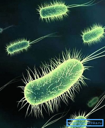 The presence of bacteria in drinking water can lead to serious illnesses. The presence of bacteria in drinking water can lead to serious illnesses.