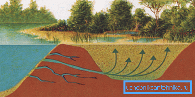 This quicksand near the pond. This quicksand near the pond.