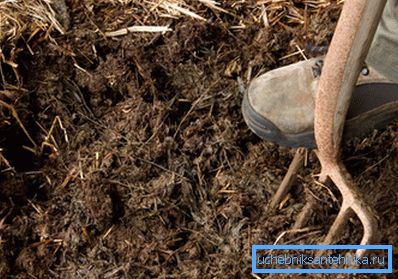 Manure - environmentally friendly fuel for the greenhouse