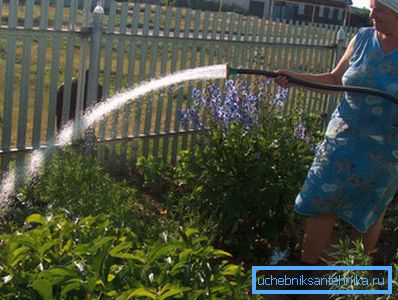 Abundant watering leads to excessive water consumption. Abundant watering leads to excessive water consumption.
