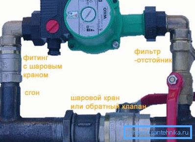 Pump harness. Pump harness.