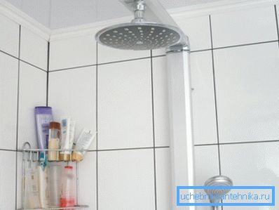 Regular shower watering is not everything everyone likes ... Regular shower watering is not everything everyone likes ...
