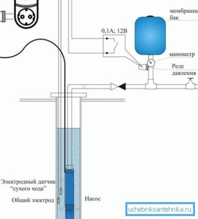 The organization of the protective system The organization of the protective system