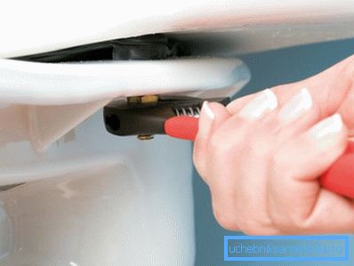 Loosen and remove the screws, after - dismantle the tank itself Loosen and remove the screws, after - dismantle the tank itself
