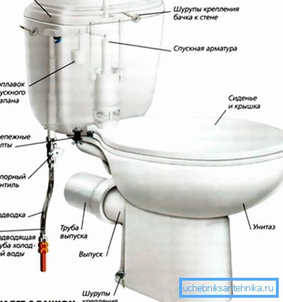 The main components of a standard toilet bowl. The main components of a standard toilet bowl.