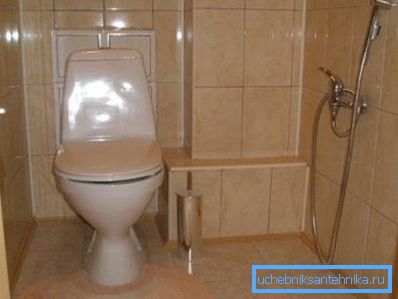 Domestic toilets (pictured) - a great solution at an affordable price.