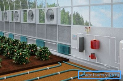 Heating of polycarbonate greenhouses in winter with a heating cable Heating of polycarbonate greenhouses in winter with a heating cable