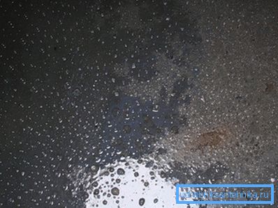 Sewage bacteria - efficient cleaning