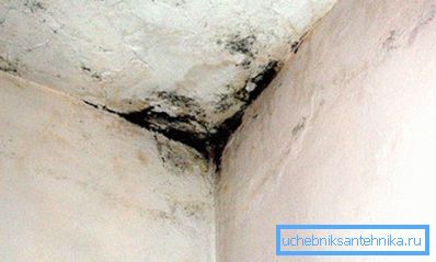 Mold is a sure sign of improper ventilation Mold is a sure sign of improper ventilation