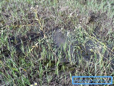 1200 The soil does not absorb water