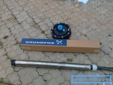 Submersible pump and wellhead.