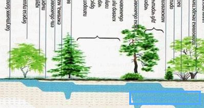 Finding a place for a well can be helped by nature itself (see the description in the text)