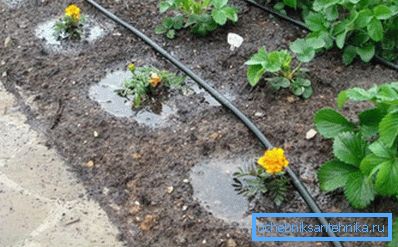 Polyethylene pipe for drip irrigation Polyethylene pipe for drip irrigation