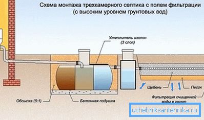 Complete installation of a septic tank Complete installation of a septic tank