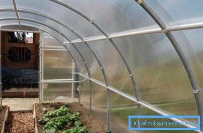Practical greenhouse of square tubes Practical greenhouse of square tubes