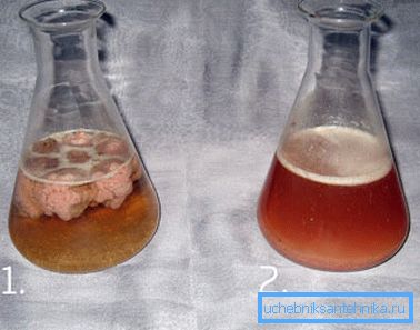 An example of the action of microorganisms An example of the action of microorganisms
